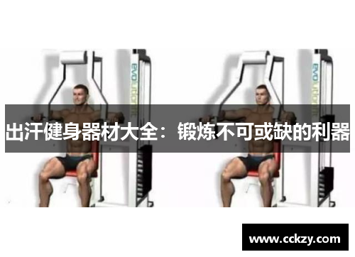 出汗健身器材大全：锻炼不可或缺的利器