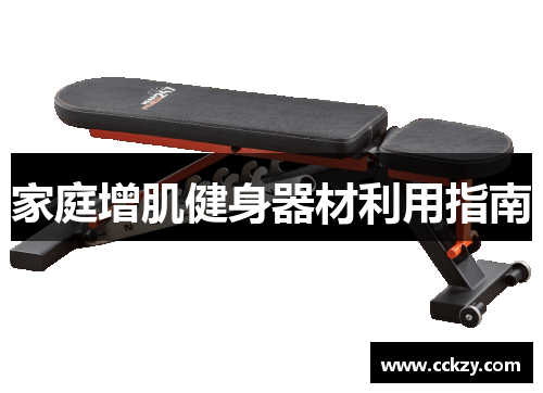 家庭增肌健身器材利用指南