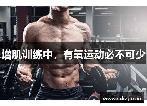 增肌训练中，有氧运动必不可少