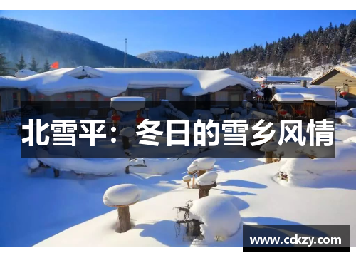 北雪平：冬日的雪乡风情